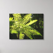 Boom Fern in het regenwoud Canvas Afdruk (Voorkant)
