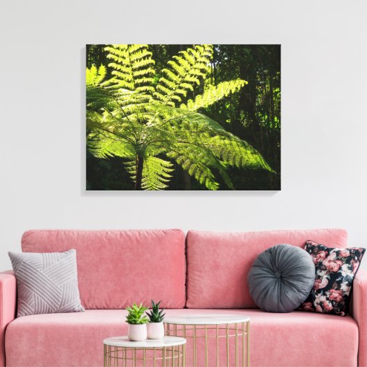 Boom Fern in het regenwoud Canvas Afdruk (Insitu (Woonkamer))