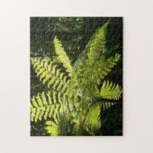 Boom Fern in het regenwoud Legpuzzel (Verticaal)