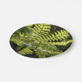 Boom Fern in het regenwoud Papieren Bordje (Gekanteld)