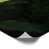 Boom Fern in het regenwoud Poster (Hoek)