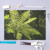 Boom Fern in het regenwoud Tissuepapier (Craft)