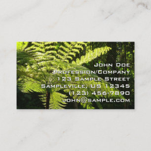 Boom Fern in het regenwoud Visitekaartje