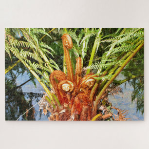 Boom fern new growth, Dandenong Ranges, Australië Legpuzzel