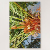 Boom fern new growth, Dandenong Ranges, Australië Legpuzzel (Verticaal)