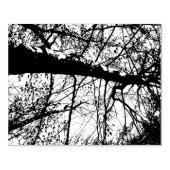 Boom Fotorubberstempel Rubberstempel (Afrduk)