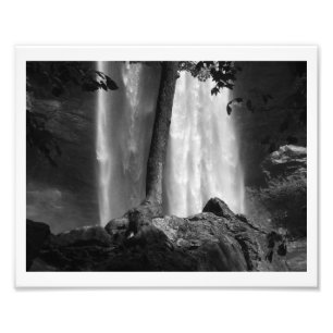 Boom Herfsten B&W Foto Afdruk