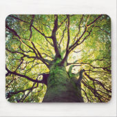 Boom Hugging Muismat (Voorkant)