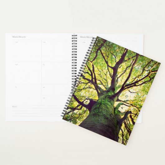 Boom Hugging Planner (Display)