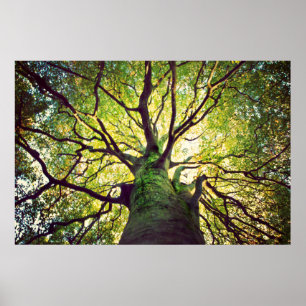 Boom Hugging Poster