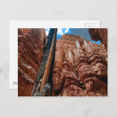 Boom-in-boom Navajo Loop bij Bryce Canyon Briefkaart (Voorkant / Achterkant)