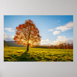 Boom in brand poster