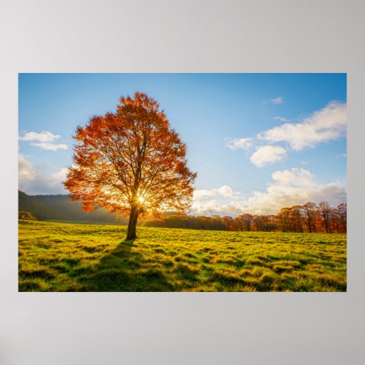 Boom in brand poster (Voorkant)