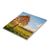 Boom in brand tegeltje (Zijkant)