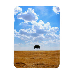 Boom in een geoogst tarweveld magneet