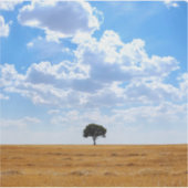 Boom in een geoogst tarweveld sticker (Voorkant)