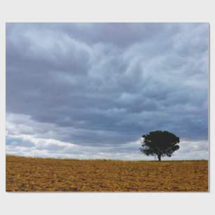 Boom in een leeg veld cadeaupapier