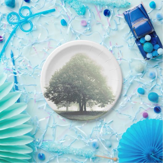 Boom in het bord van het mist (Feest)