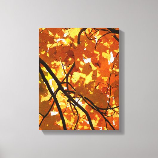 Boom in het najaar canvas afdruk (Voorkant)