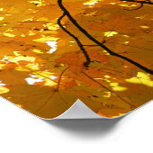 Boom in het najaar poster (Hoek)