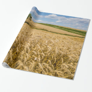 Boom in het Wheat Field Landscape Cadeaupapier
