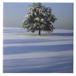 Boom in met sneeuw bedekt landschap tegeltje