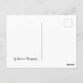 Boom in mist briefkaart (Achterkant)