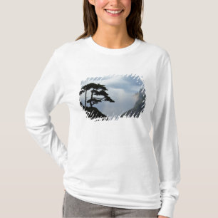 Boom in silhouet bij zonsopgang, Gele Berg, T-shirt