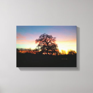 Boom in zonsondergang canvas afdruk