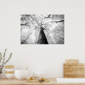 Boom in zwart-wit poster (Keuken)