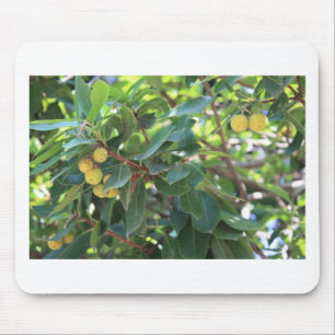 Boom, Italië Muismat