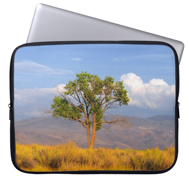 Boom Laptop Sleeve (Voorkant)