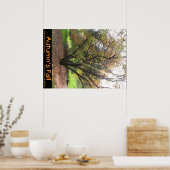 Boom Light Ray Autumn's Herfst Poster (Keuken)