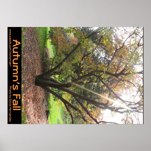 Boom Light Ray Autumn's Herfst Poster (Voorkant)