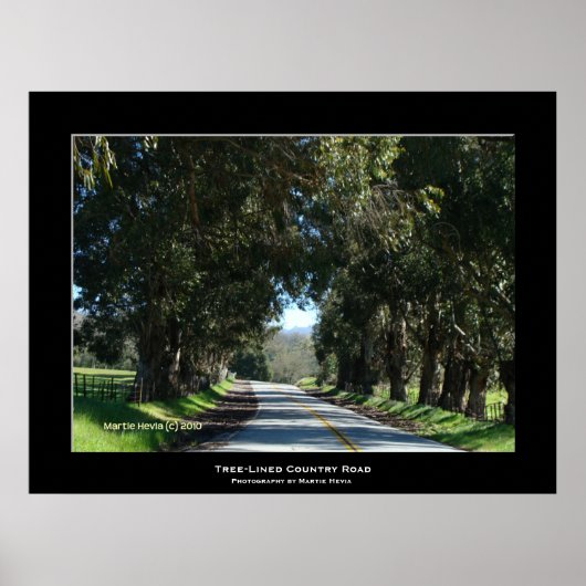 "Boom-Lined Country Road" Poster (Voorkant)