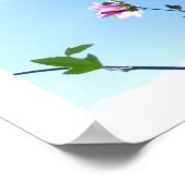 Boom Mallow in Poster Bloom (Hoek)