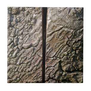 Boom met middelste snede tegeltje