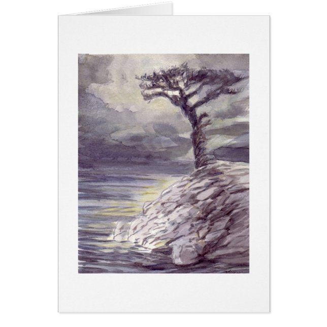 Boom met Uitzicht (Voorkant)