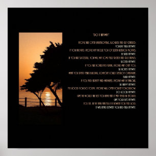 Boom & Oceanzonsondergang Doe het toch Poster