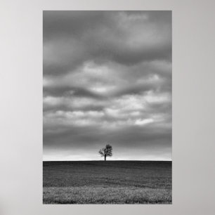 Boom op de heuvel poster