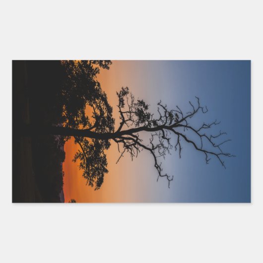 Boom op een achtergrond van zonsondergang rechthoekige sticker (Voorkant)