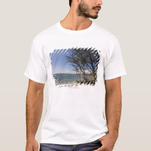 Boom op een strand langs de kust t-shirt
