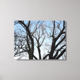 Boom Rek Canvasprint Canvas Afdruk