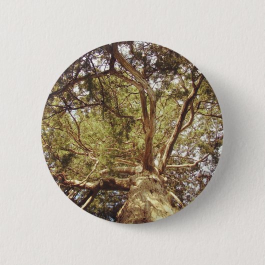 Boom Ronde Button 5,7 Cm (Voorkant)