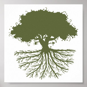 Boom Roots Poster