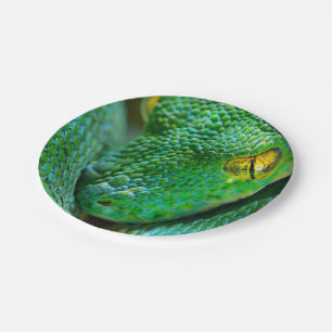 Boom Scene Papieren Bordje