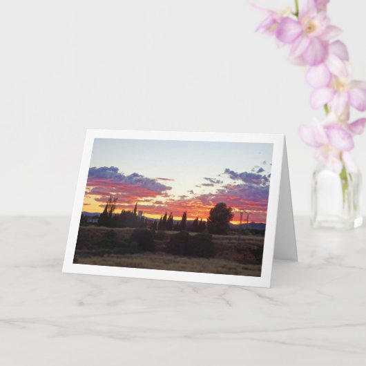 Boom Silhouet Avond Zonsondergang Kaart (Orchidee)