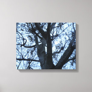 Boom Silhouet Fotografie Canvasprint Canvas Afdruk