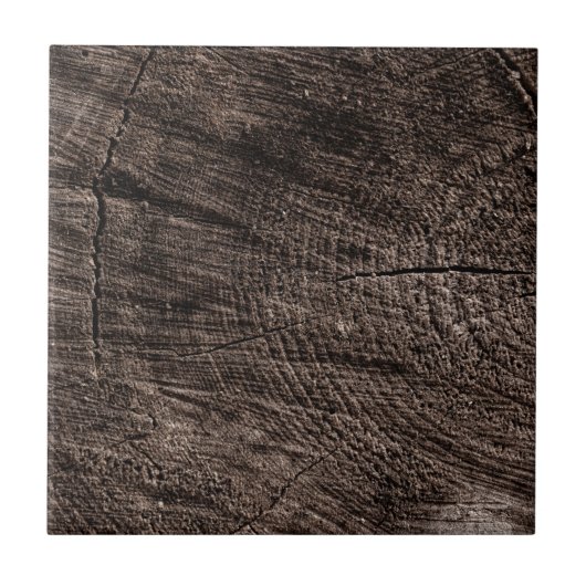 Boom Stump Tegeltje (Voorkant)