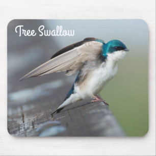 Boom Swallow Stretch Muismat